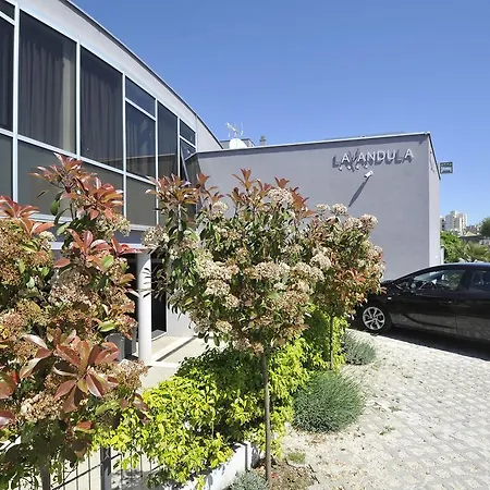 招待所 薰衣草专属公寓和客房旅馆