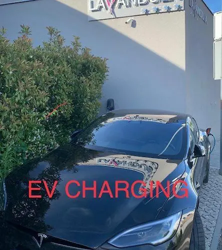 薰衣草专属公寓和客房旅馆 招待所 扎达尔