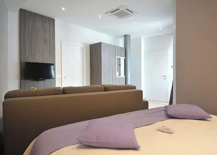 招待所 薰衣草专属公寓和客房旅馆 扎达尔