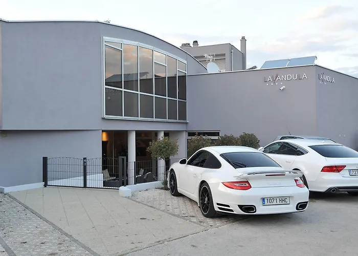 招待所 薰衣草专属公寓和客房旅馆 4*